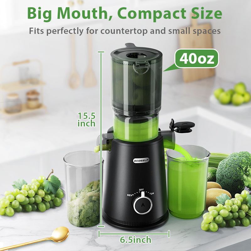 Ecoself Juicer Machines, Cold Press Juicer, Whole Juicer with 4.35" Wide Mouth, Whole Fruit juicer, Juice Extractor for Vegetable and Fruit, High Juice Yield, Easy to Clean with Brush