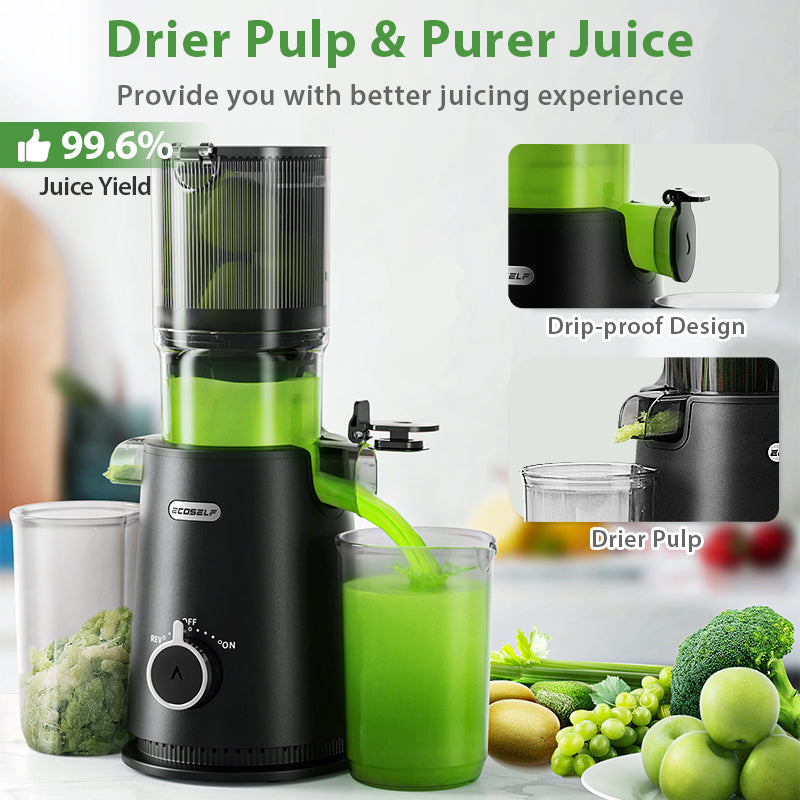 Ecoself Juicer Machines Cold Press Juicer Whole Juicer with 4.35 Wide Mouth Whole Fruit juicer Juice Extractor for Vegetable and Fruit High