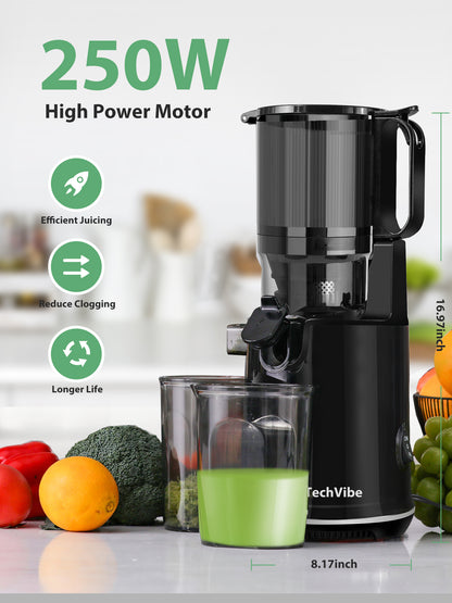 TechVibe Masticating Juicer-Black