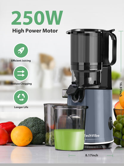 TechVibe Masticating Juicer-Grey